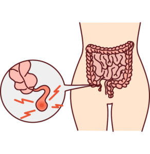 Appendix